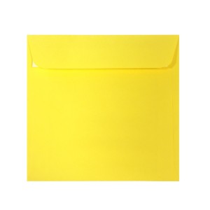 PLIC 16X16 CM PATRAT COLOR SILICONIC DACO PC1616G