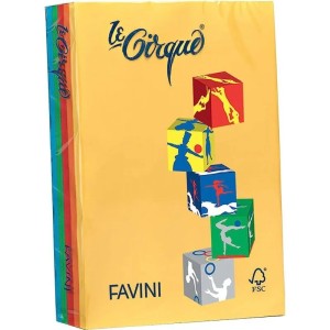 CARTON COLOR 160G/MP A4 ASORTAT 5 CULORI INTENSE FAVINI