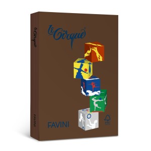 CARTON COLOR 160G/MP A4 301 MARO CIOCOLATA FAVINI