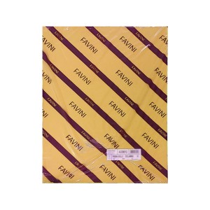 CARTON COLOR 220G/MP 50X70 02 20COLI GALBEN FAVINI A33B012