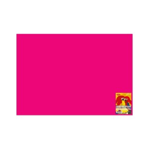 CARTON COLOR CN271F FUCSIA 70X100 10 COLI DACO