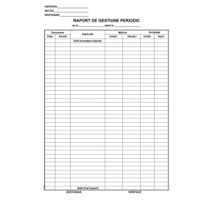 RAPORT GESTIUNE ZILNIC L03486