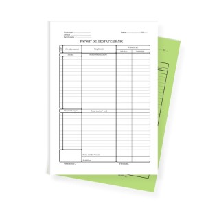 RAPORT GESTIUNE ZILNIC AUTOCOPIATIV L03479