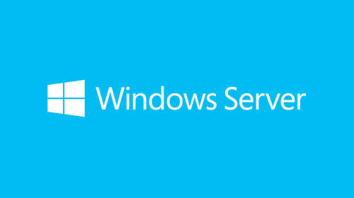 Windows Server Std 2019 English 1pk DSP OEI 16Cr NoMedia/NoKey (APOS)AddLic, "P73-07866"