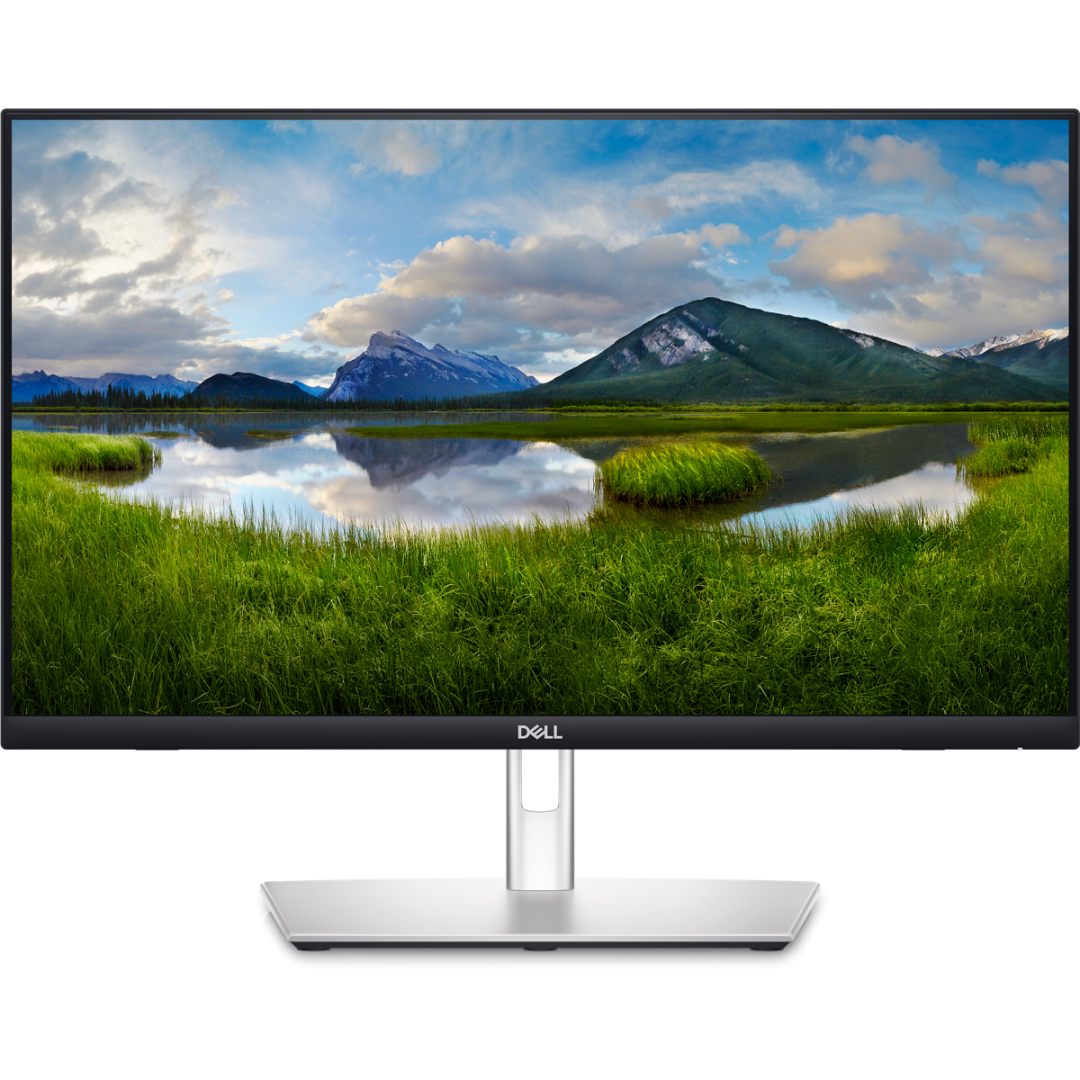 MONITOARE Dell 24" P2424HT 1920x1080 "P2424HT" (timbru verde 7 lei)