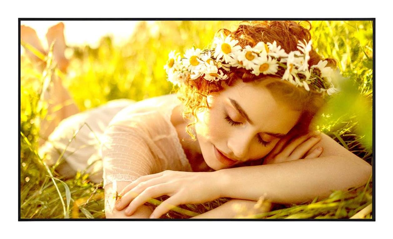 DISPLAY LCD 50" 4K/50UL5Q LG "50UL5Q" (timbru verde 15 lei)