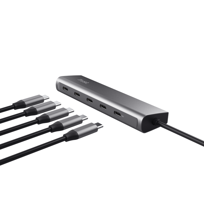 Hub Trust Halyx 5 x USB-C, gri "TR-25136" (timbru verde 0.8 lei)