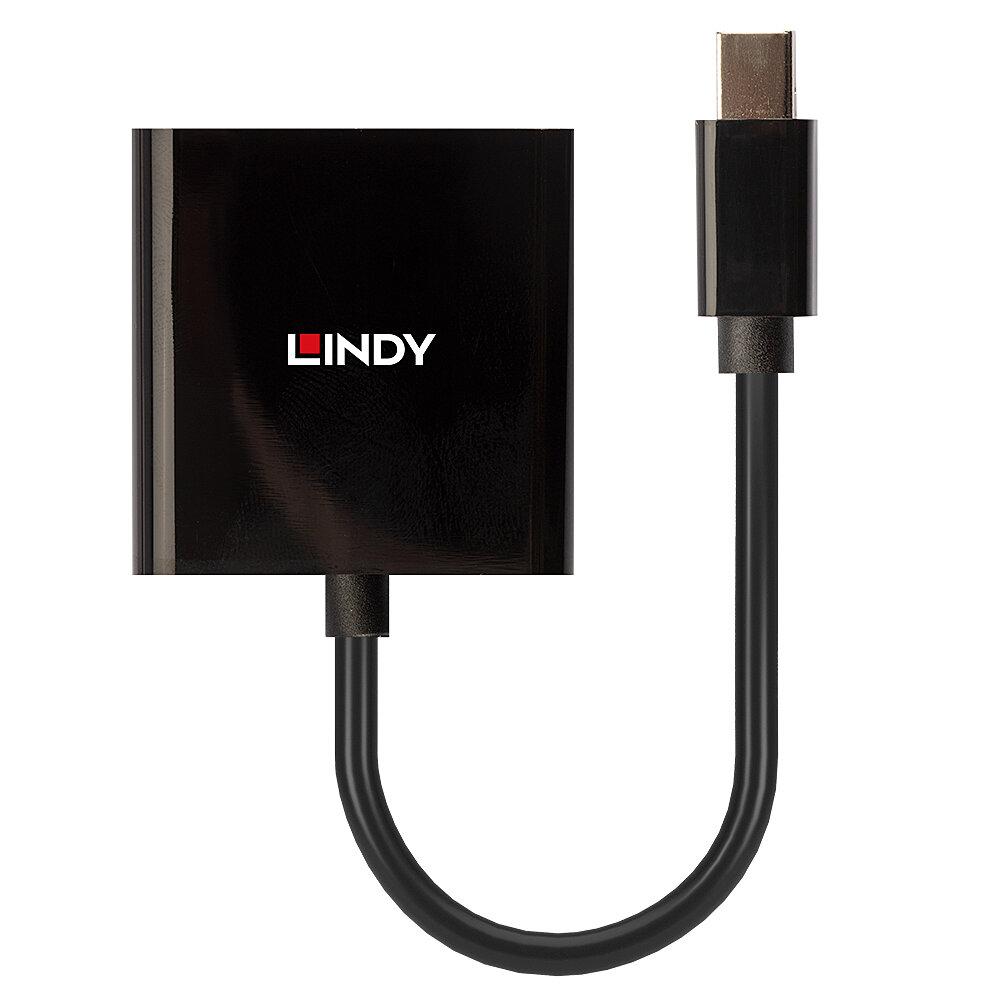 Lindy Mini DisplayPort to DVI "LY-41736" (timbru verde 0.08 lei)