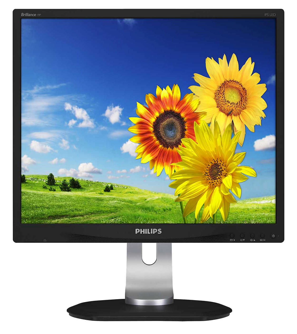 MONITOR PHILIPS 19", home, office, IPS, SXGA (1280 x 1024), clasic, 250 cd/mp, 5 ms, VGA, DVI, DisplayPort, "19P4QYEB" (timbru verde 7 lei)