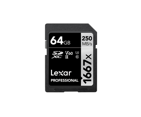 Carduri memorie Lexar LSD64GCB1667 "LSD64GCB1667" (timbru verde 0.03 lei)