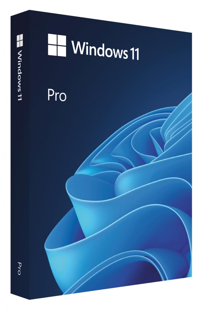 Win 11 Pro FPP P2 32-bit/64-bit RO USB "HAV-00197"