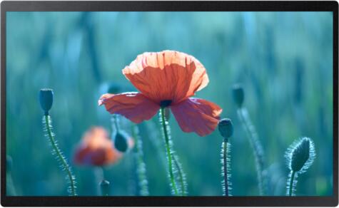 MONITOR Samsung 24 inch, signage, ADS, Full HD (1920 x 1080), Wide, 250 cd/mp, 14 ms, HDMI, "LH24QBRTBGCXEN" (timbru verde 15 lei)