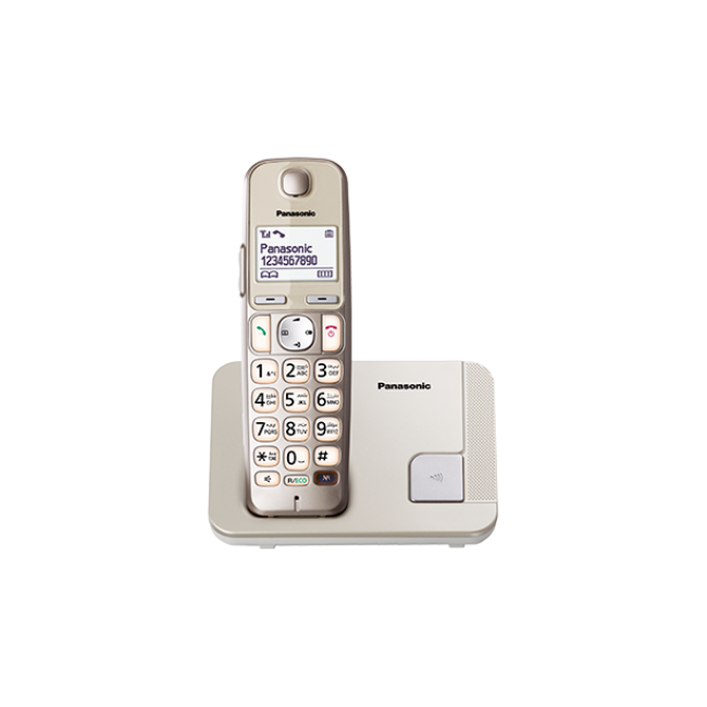 Telefon DECT, argintiu, KX-TGE210FXN, ideal pentru SENIORI "KX-TGE210FXN" (timbru verde 0.8 lei)