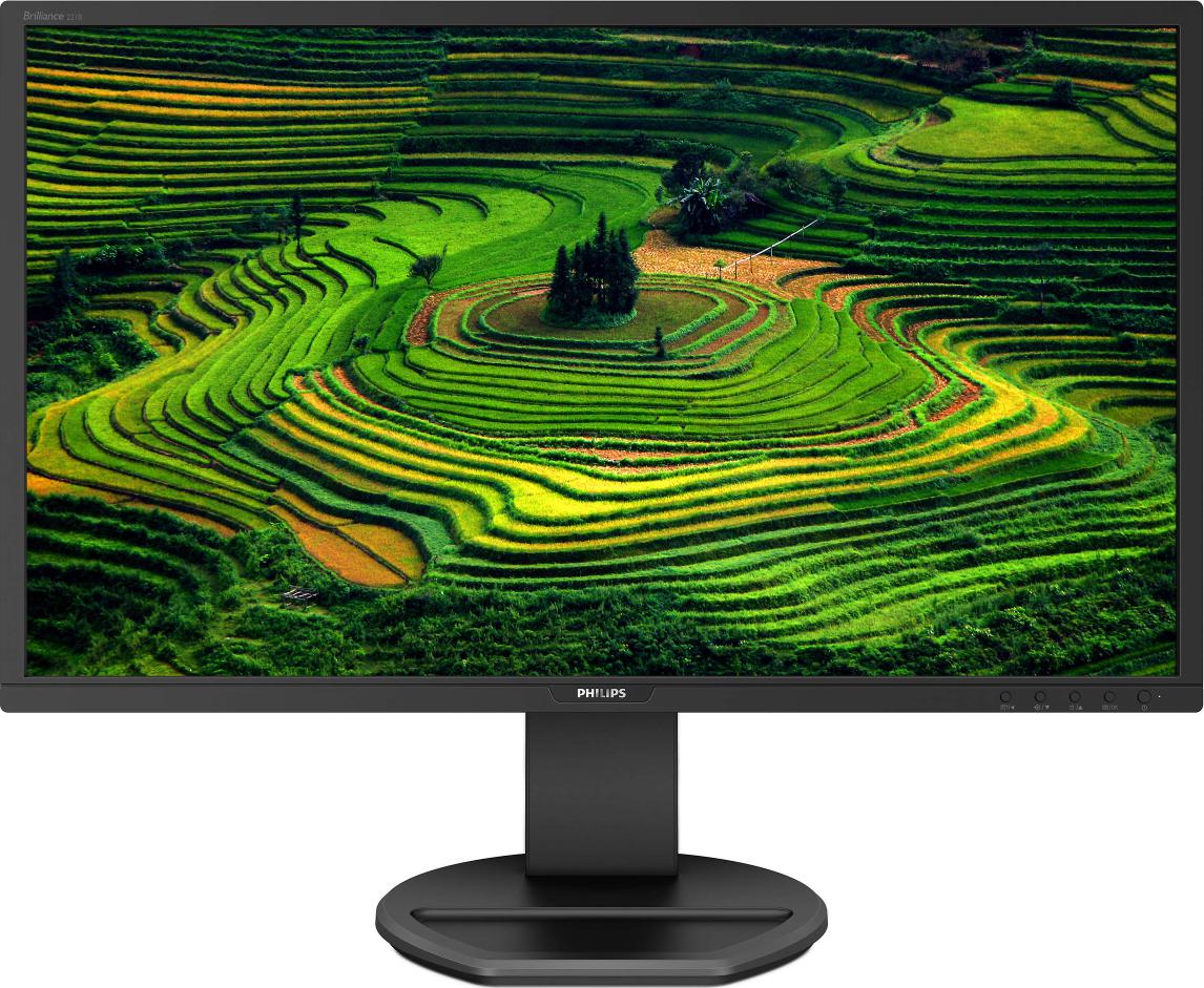 MONITOR PHILIPS 21.5", multimedia, TN, Full HD (1920 x 1080), Wide, 250 cd/mp, 1 ms, HDMI, DVI, VGA, DisplayPort, "221B8LJEB/00" (timbru verde 7 lei)