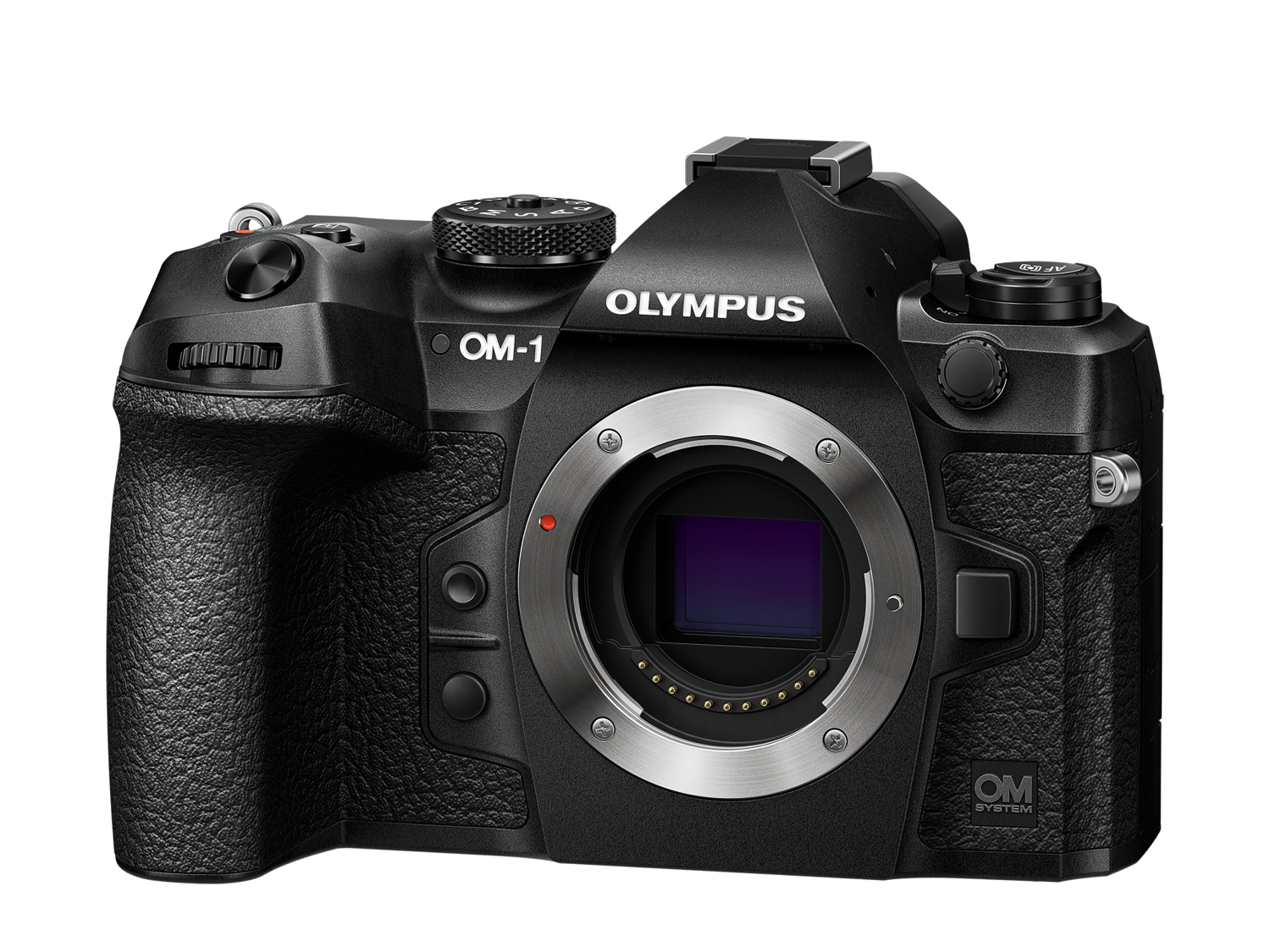 CAMERE foto Olympus 1 body black "V210010BE000" (timbru verde 1.2 lei)