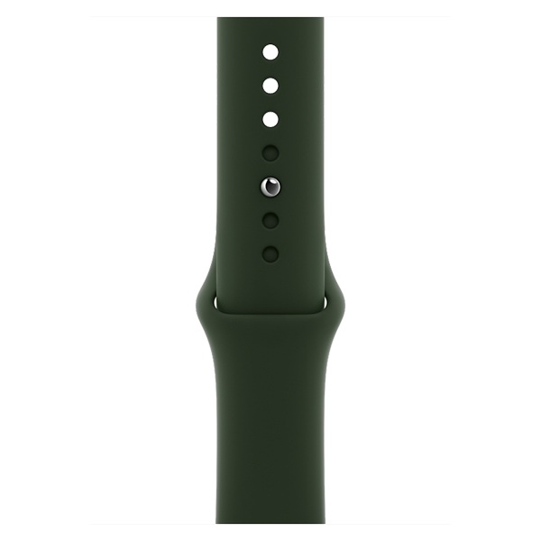 Apple Watch 44mm Band: Cyprus Green Sport Band - Regular (Seasonal Fall 2020), "mg433zm/a"