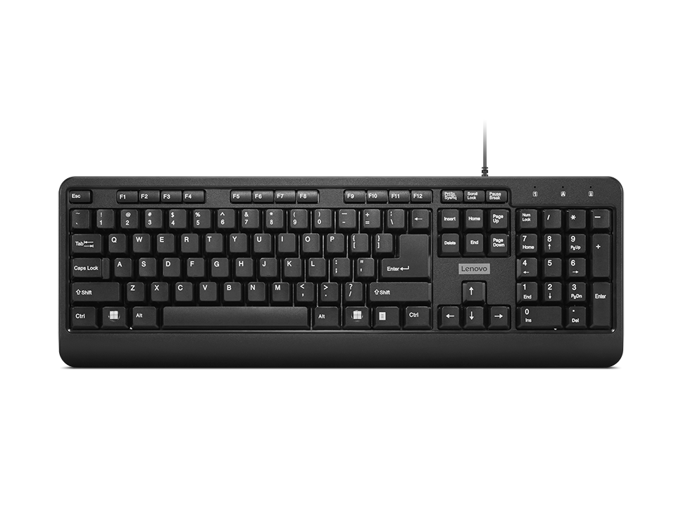 Lenovo 160 Wired keyboard "GY41L68463" (timbru verde 0.8 lei)