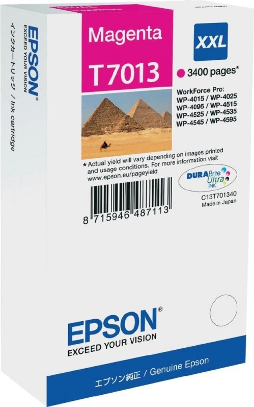 Cartus Cerneala Original Epson Magenta, T7013, pentru WP4000|4500, , (timbru verde 0.15 lei), "C13T70134010"(RAPO)