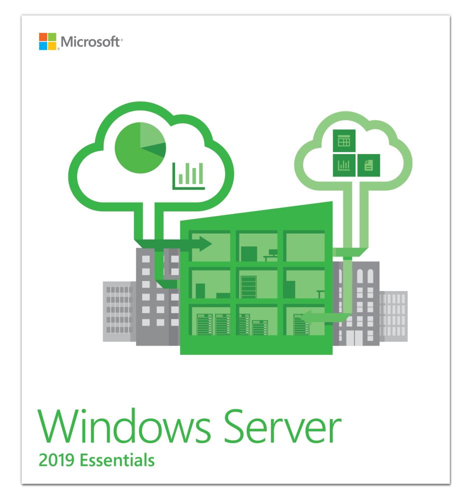 LICENTA server MICROSOFT, tip Server 2019 pt server, 64 biti, engleza, valabilitate forever, utilizare Easy Business, "G3S-01299"