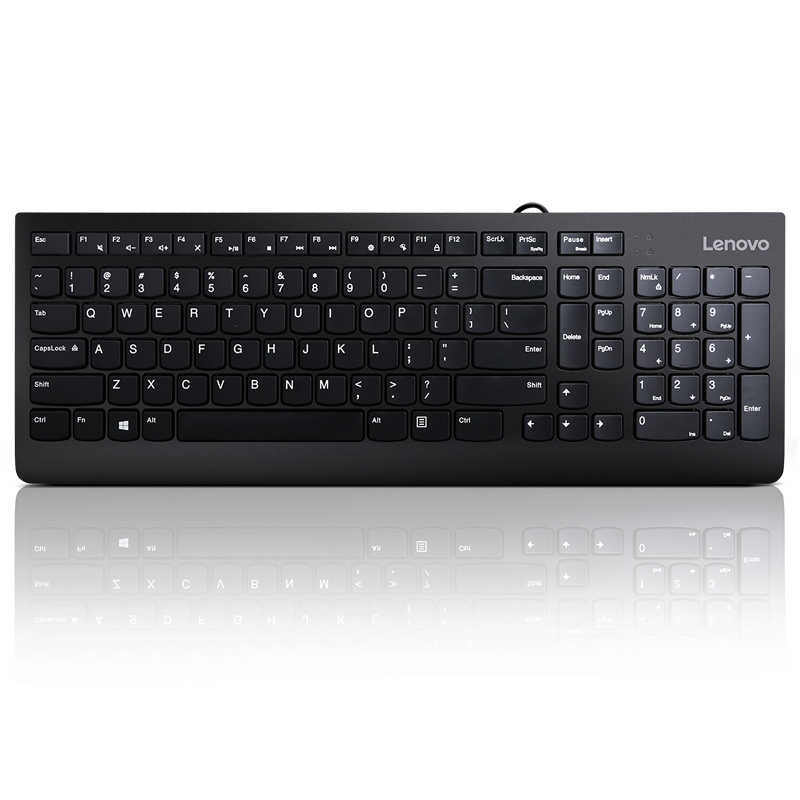 Lenovo 300 USB Keyboard - US English "GX30M39655" (timbru verde 0.8 lei)