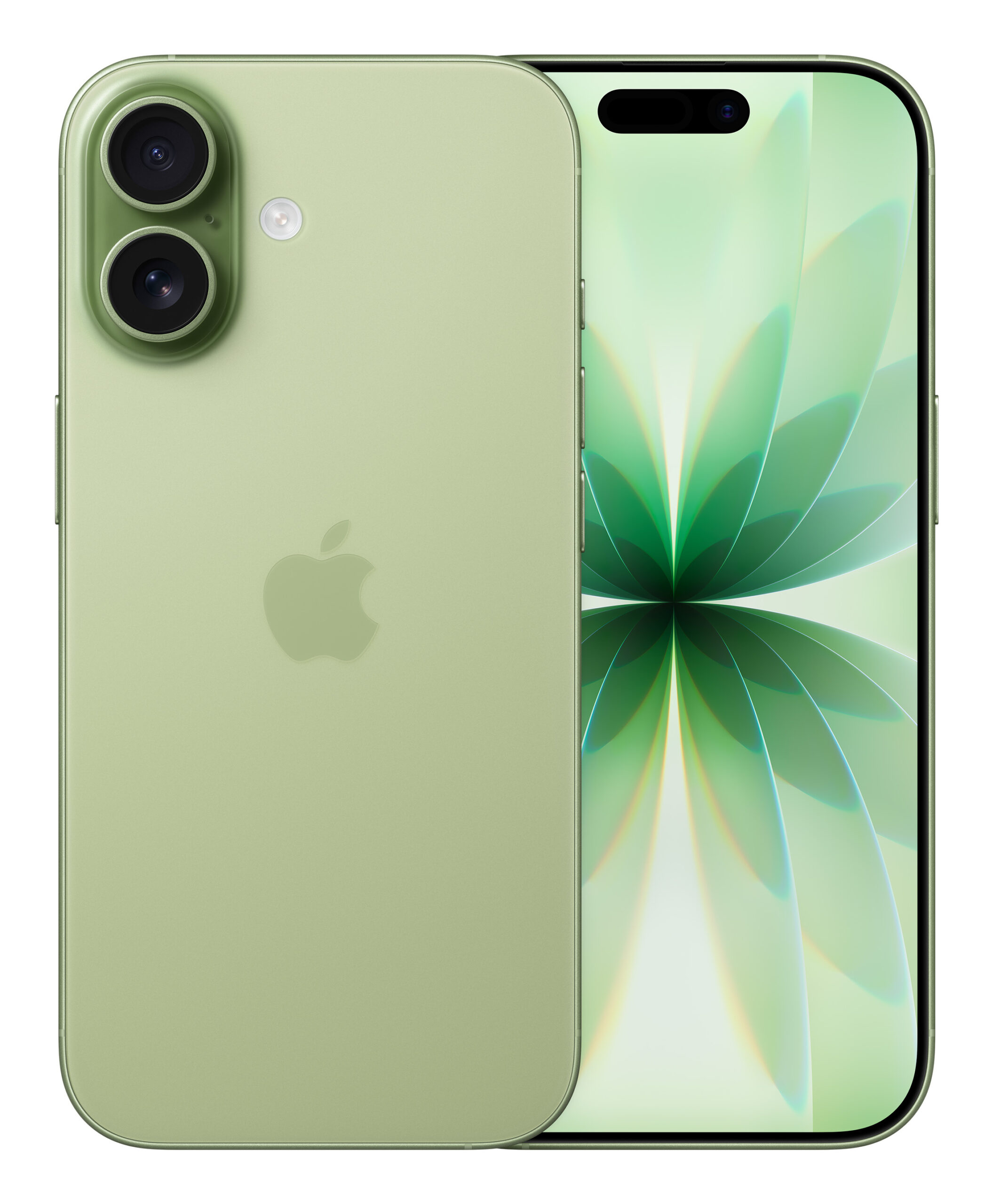 iPhone 17, 256GB, 5G, Sage "MG6N4ZD/A" (timbru verde 0.45 lei)