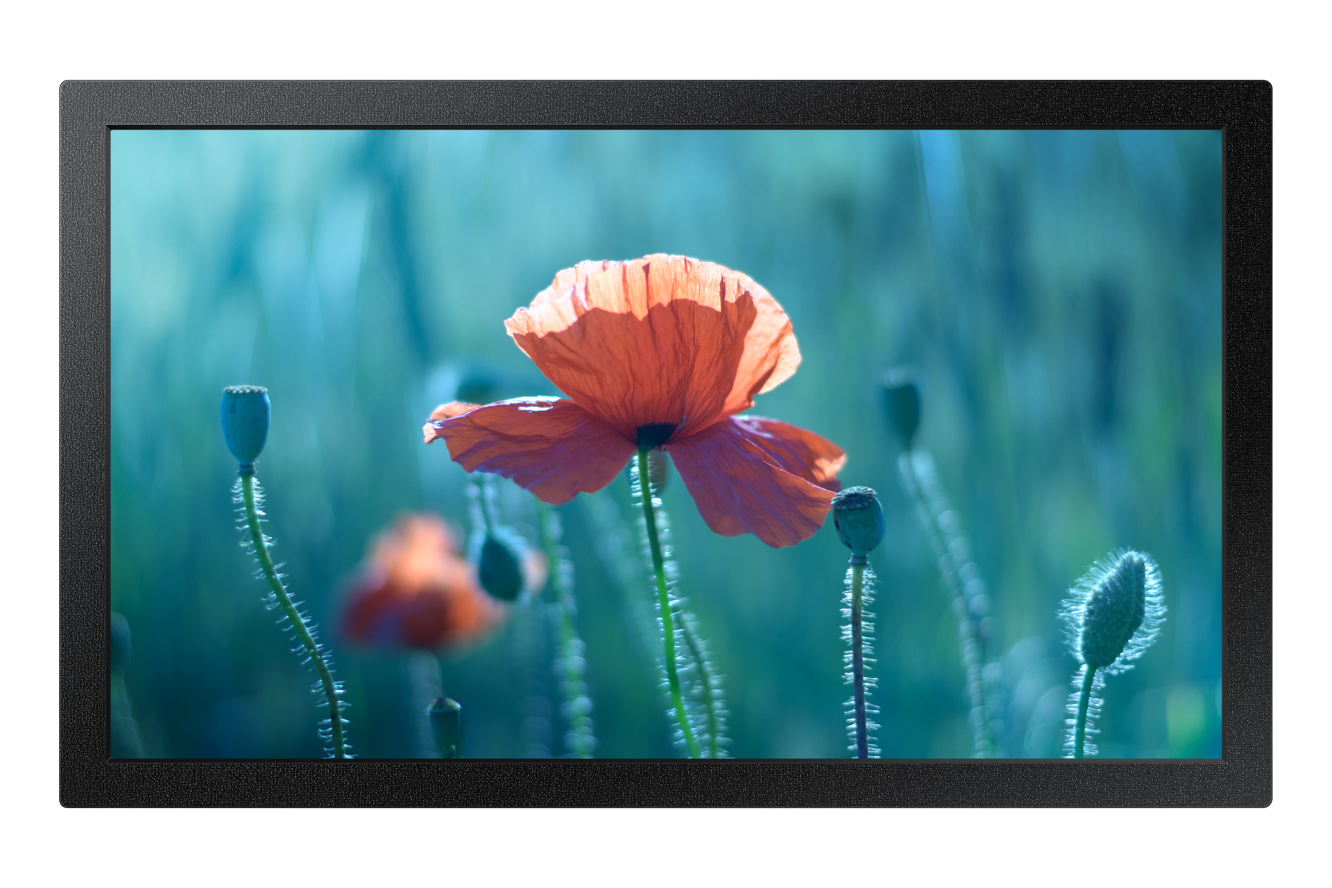 SAMSUNG LH13QBCEBGBXEN 13inch Full HD Signage QB13C 500 nits 16/7 operation black HDMI RS232in USB 2.0 Ethernet WiFi 2.4/5GHz "LH13QBCEBGBXEN" (timbru verde 15 lei)
