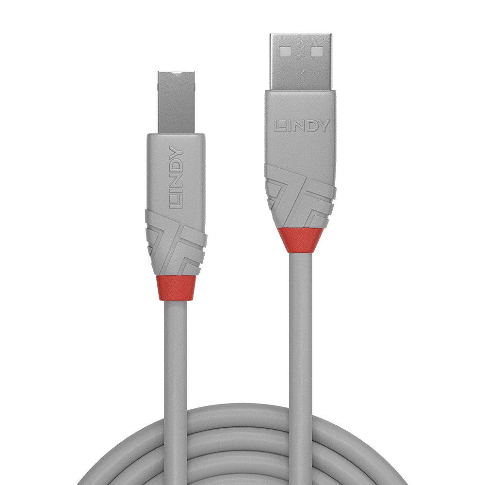 Cablu Lindy 2m USB 2.0 Tip A la Tip B "LY-36683" (timbru verde 0.18 lei)