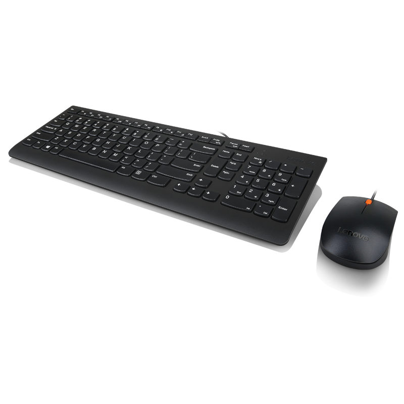 Lenovo 300 USB Combo Keyboard & Mouse "GX30M39606" (timbru verde 0.8 lei)