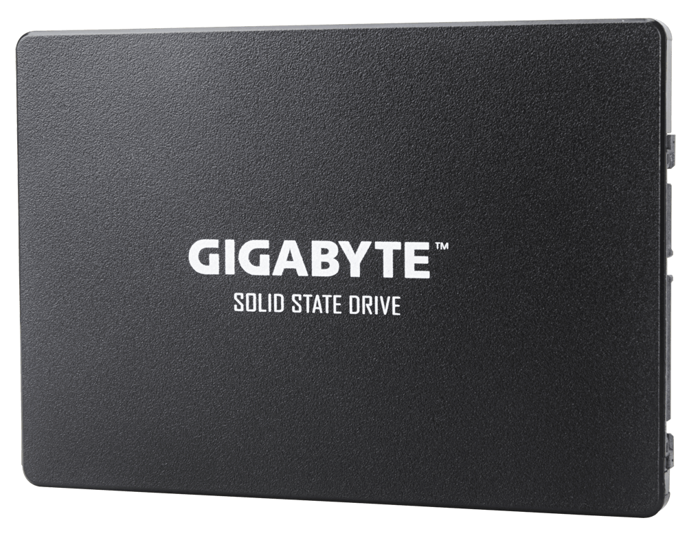 SSD GIGABYTE GP-GSTFS31256GTND-[RSG]"GP-GSTFS31256GTND-[RSG]" - imagine 3