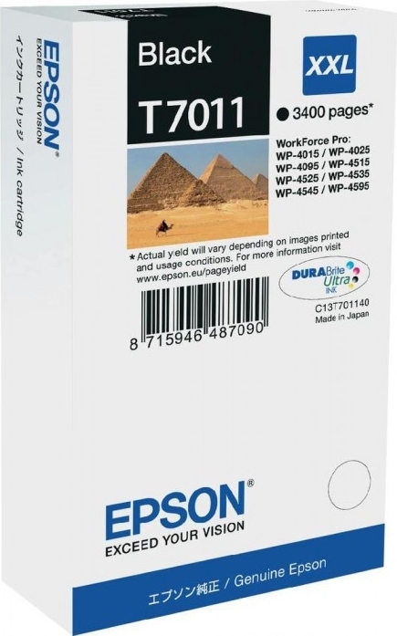 Cartus Cerneala Original Epson Black, T7011, pentru WP4000|4500, , (timbru verde 0.15 lei), "C13T70114010"(RAPO)