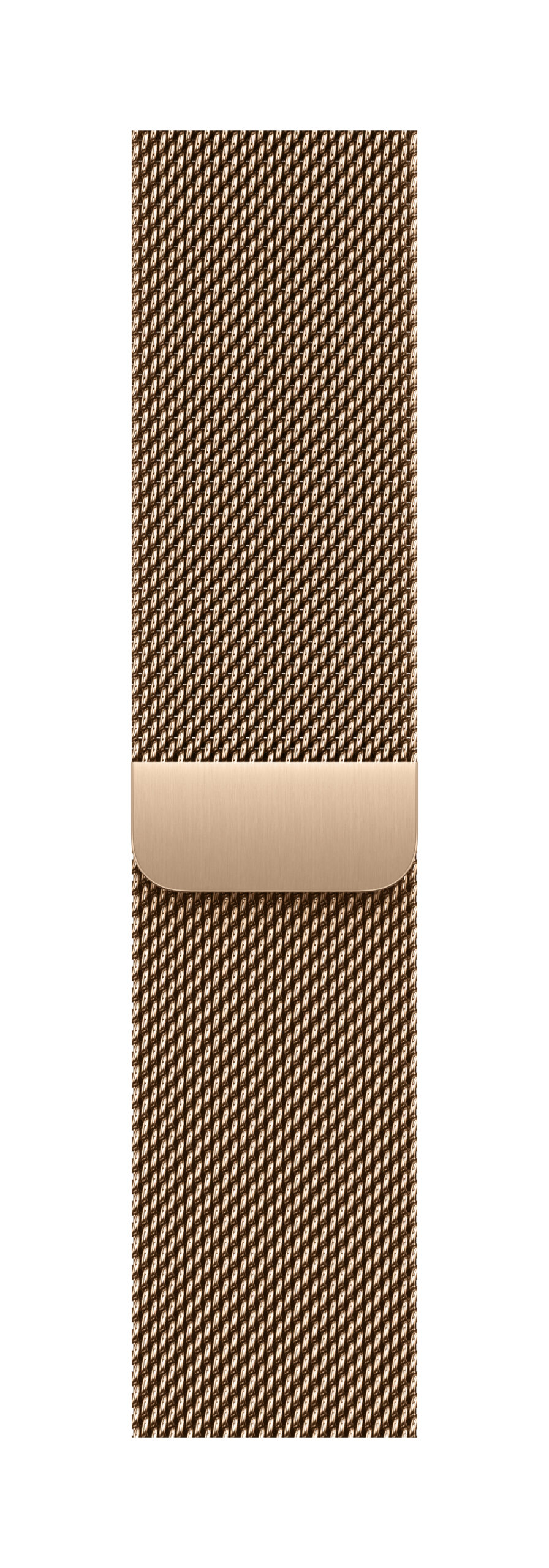 APPLE WATCH 40 GOLD ML-ZML "MGHW4ZM/A"