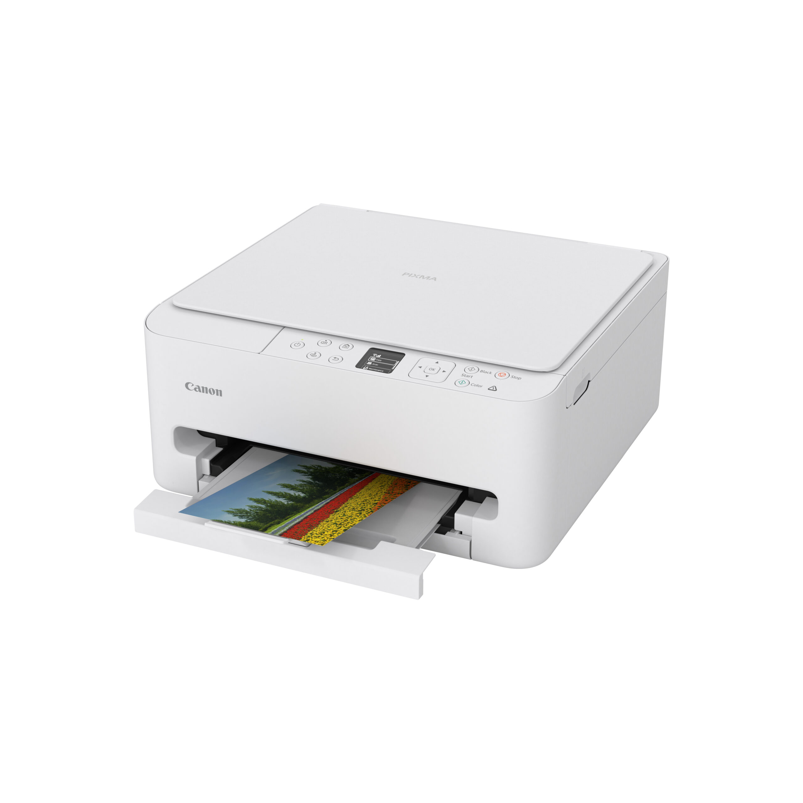 Multifunctional InkJet Color Canon TS6550I, A4, Functii: Impr.|Scan.|Cop., Viteza de Printare Monocrom: 14ppm, Viteza de printare color: 9ppm, Conectivitate:USB|WIFI, Duplex:Da, ADF:Nu(incl.TV 12lei), White, "7179C006AA" - imagine 5