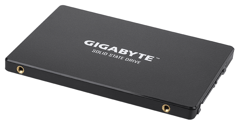 SSD GIGABYTE GP-GSTFS31256GTND-[RSG]"GP-GSTFS31256GTND-[RSG]" - imagine 4