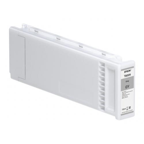 Cartus Cerneala Original Epson Grey, , pentru , , (timbru verde 1.2 lei), "C13T800900"