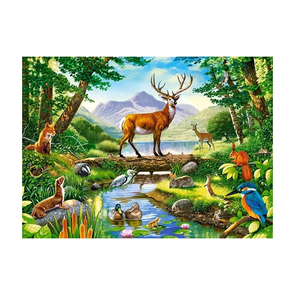 Puzzle 300 piese premium - Castorland - imagine 11