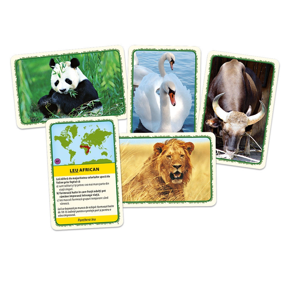 Joc educativ - Animalele lumii, Tactic - BLACKFIRE - imagine 3