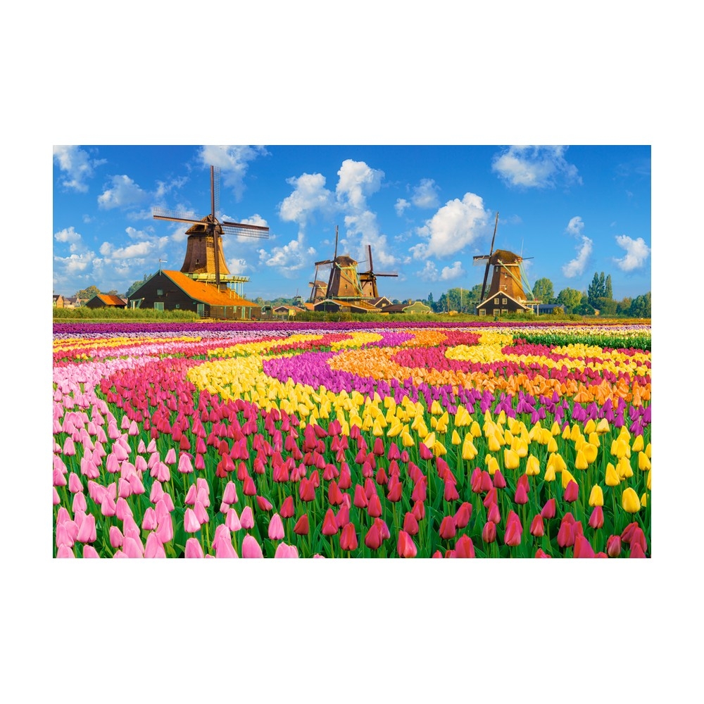 Puzzle 1000 piese, Mori De Vant - Castorland - imagine 3