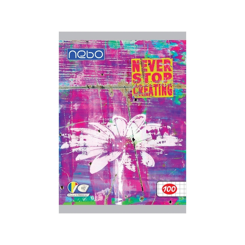Caiet A5 100 file AR - NEBO - imagine 2