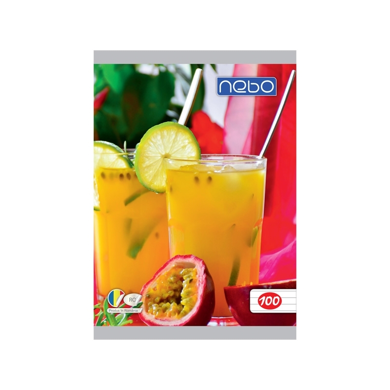 Caiet A5 100 file DR - NEBO - imagine 3