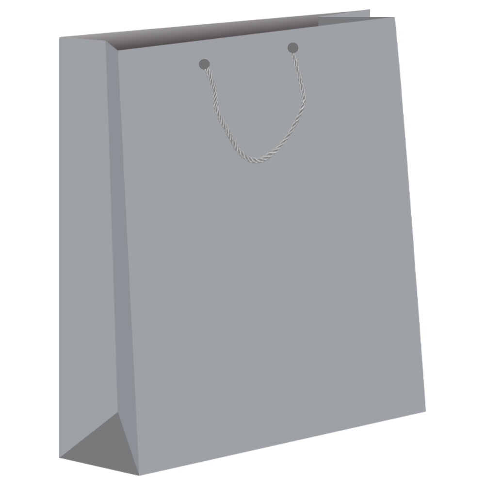 Punga cadou unicolora, 26x32x10 cm - imagine 4