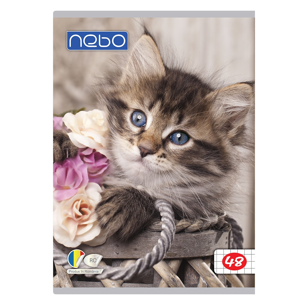 Caiet A5 48 file AR - NEBO - imagine 7