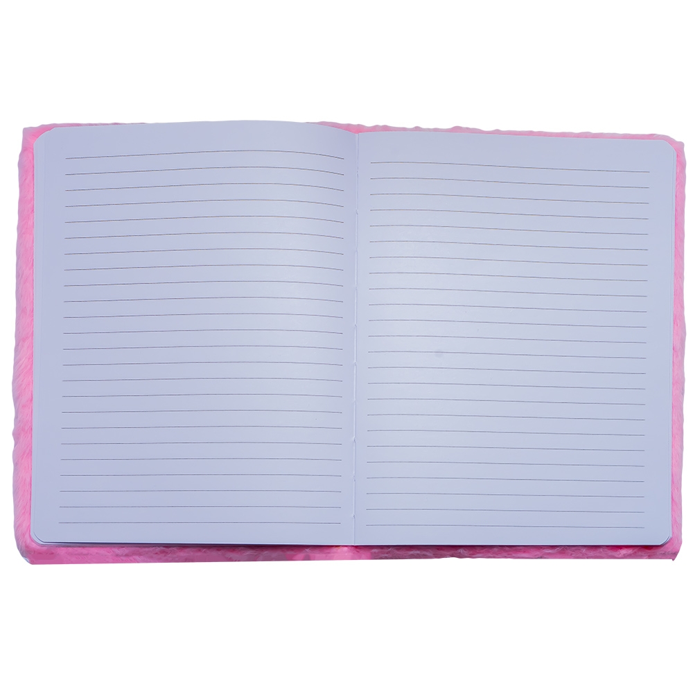Jurnal plusat - imagine 6