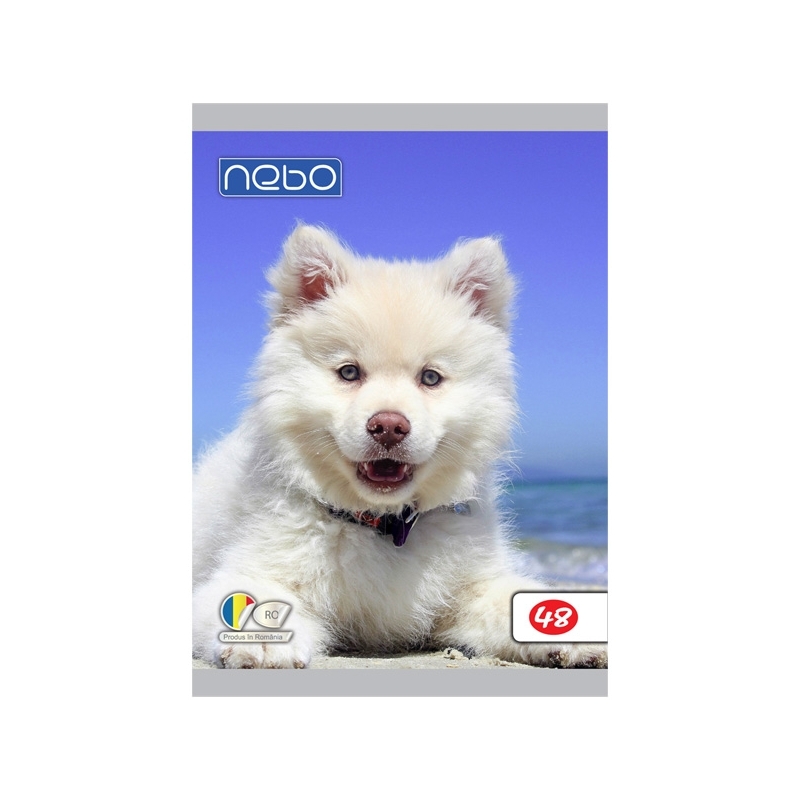 Caiet A5 48 file foi veline - NEBO - imagine 3