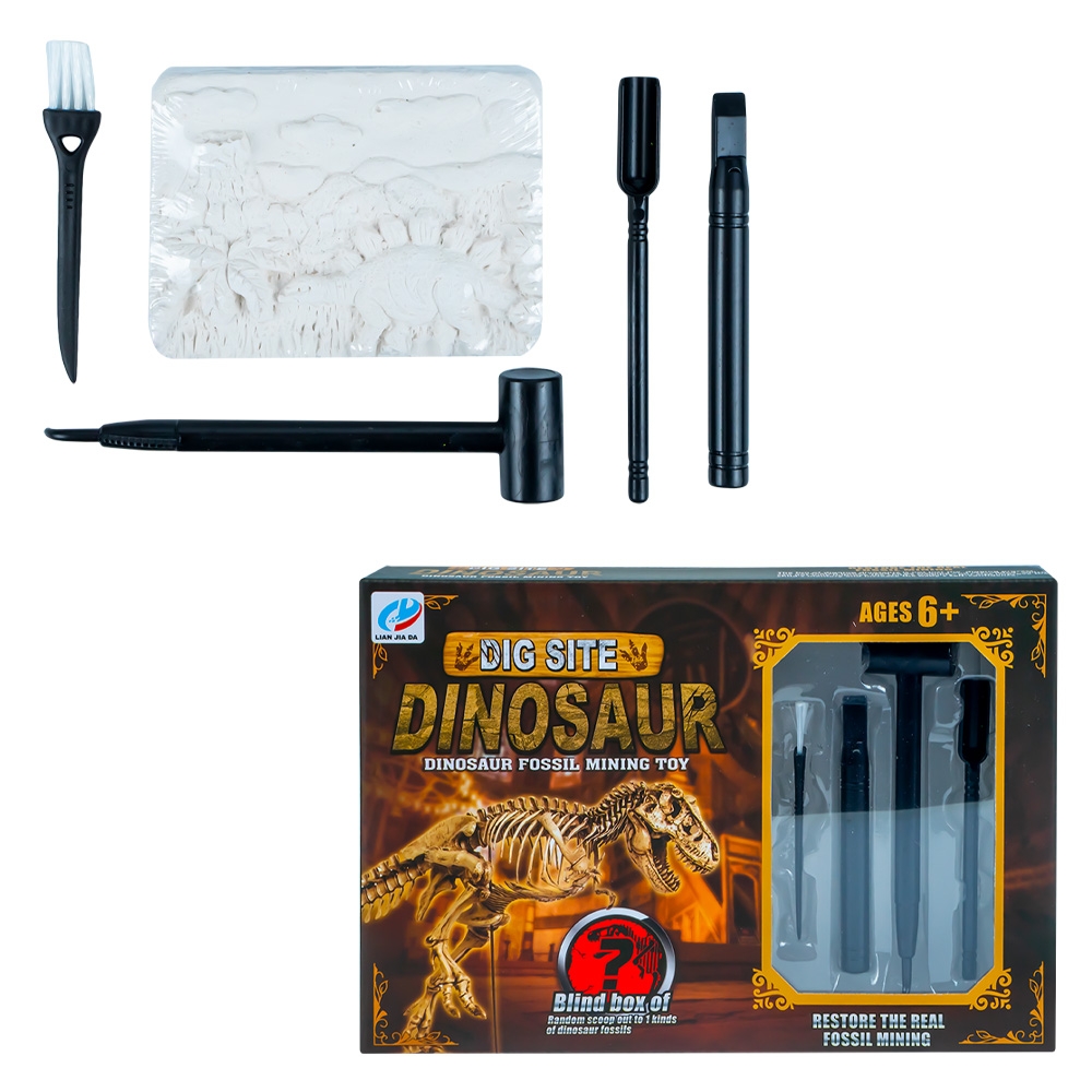 Set paleontologie - descopera fosile
