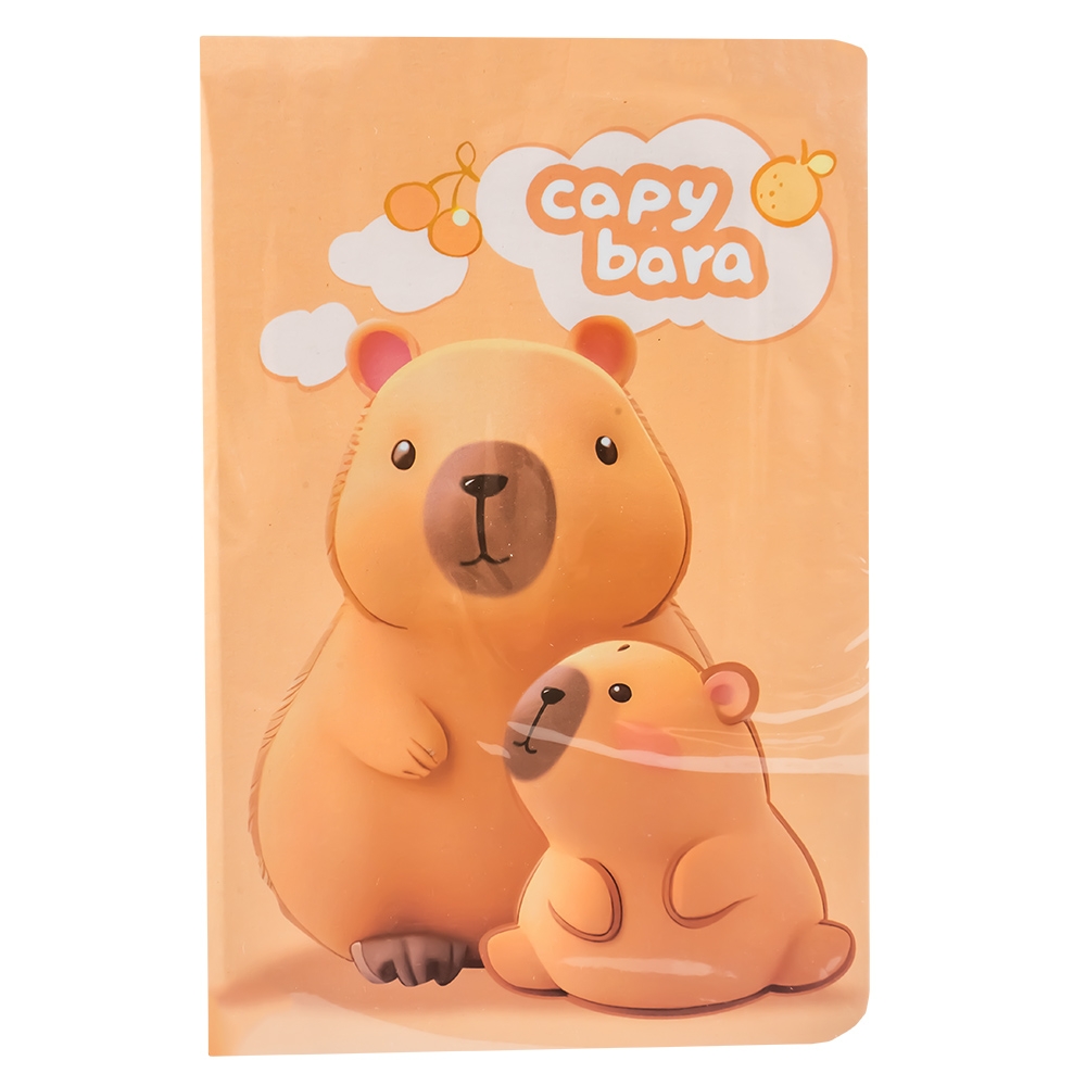 Notes C6, 80 file, Capybara