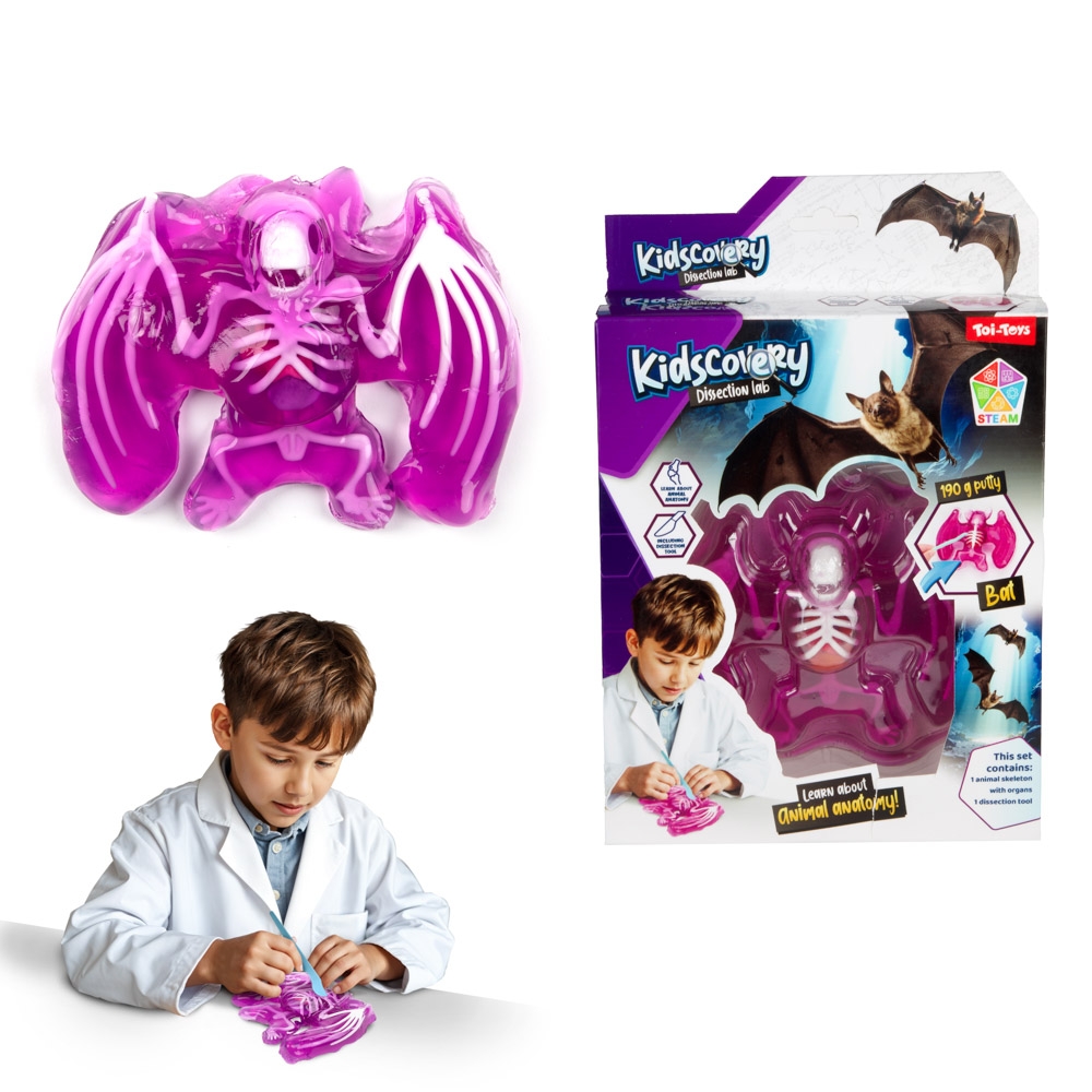Set slime, Kidscovery - Invata biologia - Toi-Toys - imagine 3