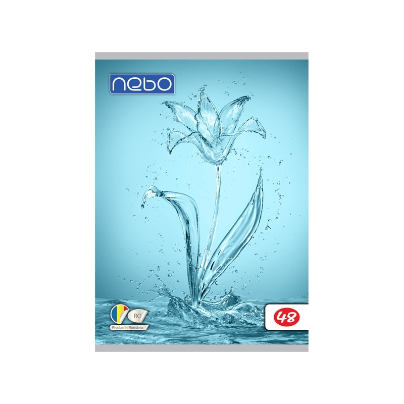 Caiet A5 48 file foi veline - NEBO - imagine 8