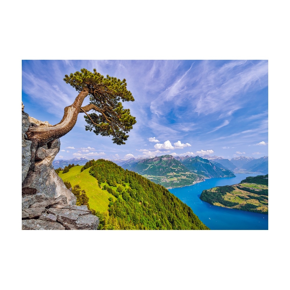 Puzzle 1000 piese, Lacul Uri, Elvetia - Castorland - imagine 3