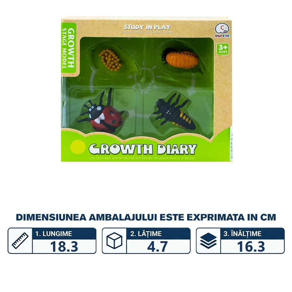 Set figurine, ciclul vietii buburuzei - imagine 2