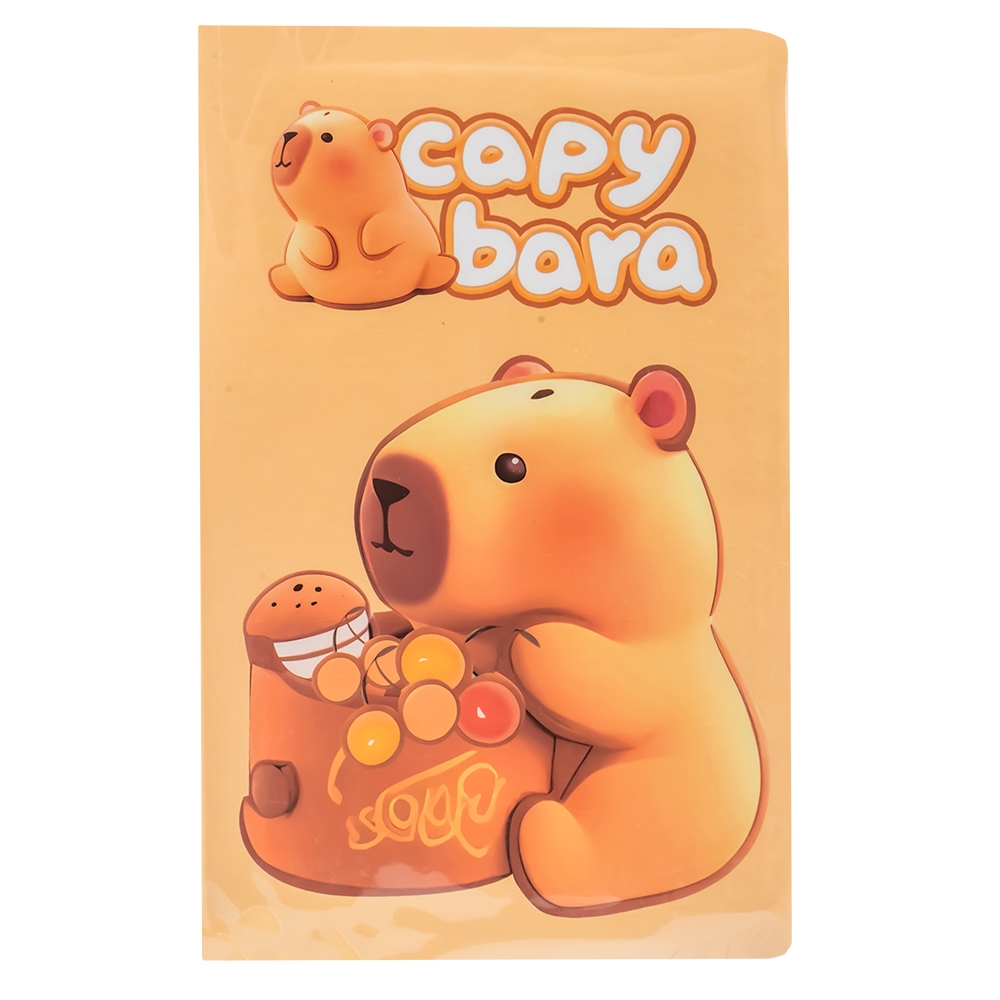 Notes C6, 80 file, Capybara